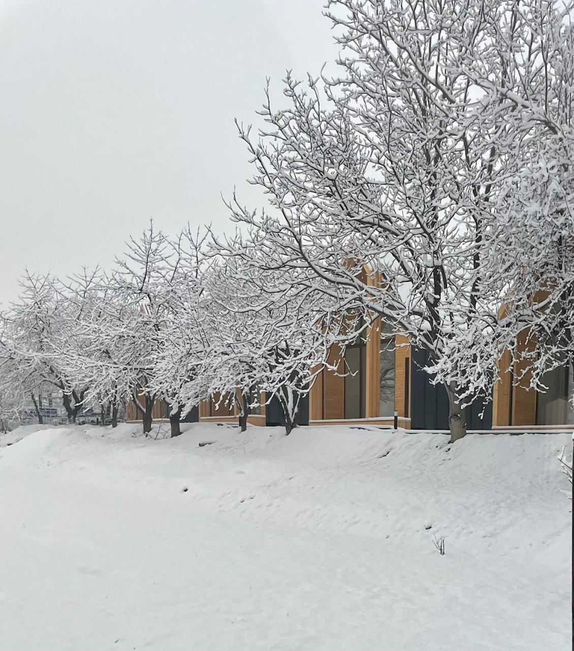 Millar's Vilă *