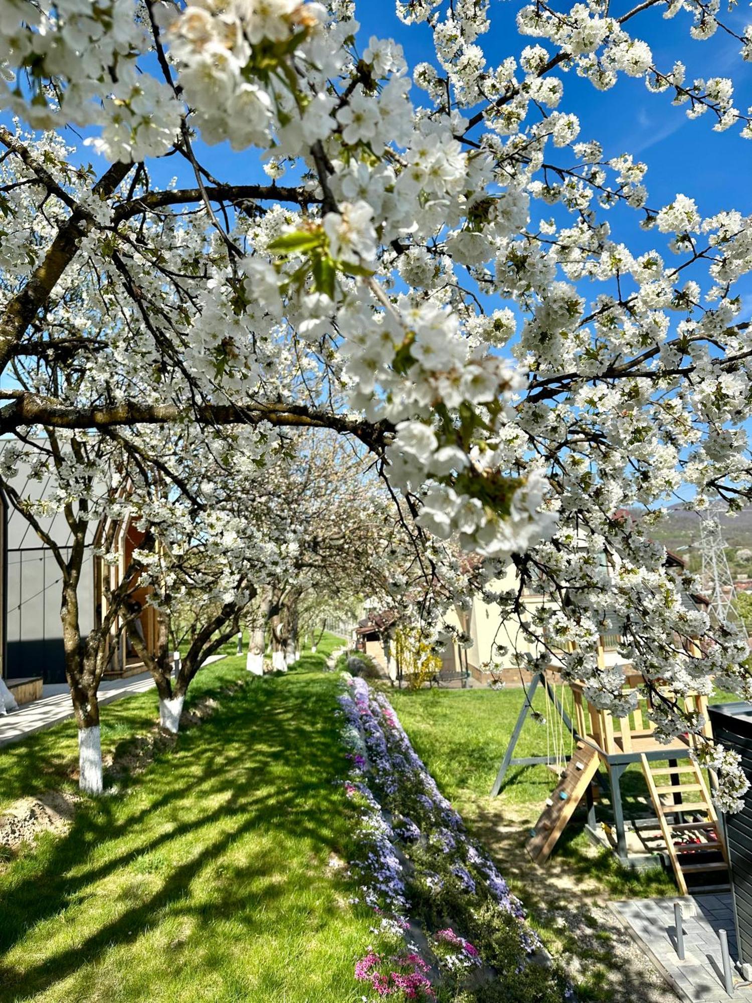 Villa Millar's