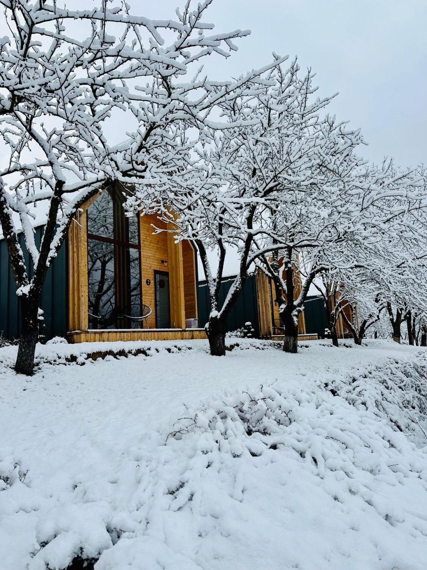 Millar's Villa